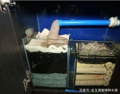 魚缸過濾棉怎么擺放圖解：如何正確擺放魚缸過濾棉 魚缸百科 第4張