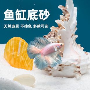 威畢魚缸 魚缸百科 第1張