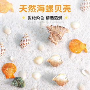 威畢魚缸 魚缸百科 第2張