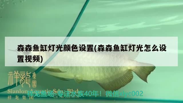 小型魚缸燈光的視頻：小米魚缸燈光定時器使用方法展示魚缸燈光顏色選擇技巧