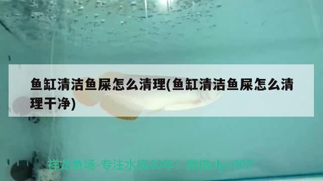 西龍魚缸水泵安裝視頻：西龍魚缸水泵安裝后的調(diào)試技巧西龍魚缸水泵安裝后的調(diào)試技巧 魚缸百科 第3張