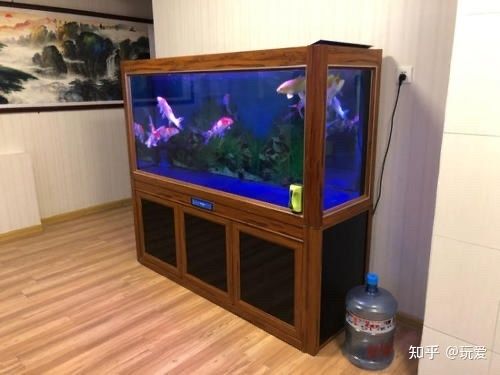 麒安魚缸怎么樣好用嗎：詳情麒安魚缸怎么樣好用嗎 魚缸百科 第2張