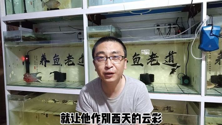 魚缸濾盒里有小蚊子怎么處理：魚缸濾盒內(nèi)出現(xiàn)蚊子幼蟲問題，魚缸水質(zhì)維護(hù)最佳實(shí)踐 魚缸百科 第1張