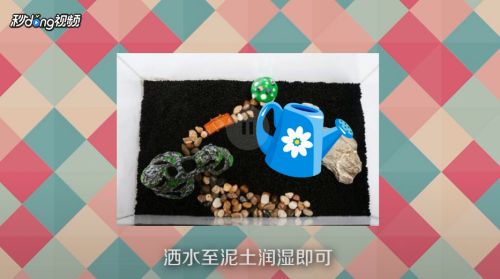 頂級魚缸造景：現(xiàn)代家居設計中頂級魚缸造景成為一種流行的趨勢 魚缸百科 第4張