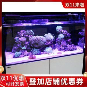 藍甸魚缸廠家：藍甸魚缸廠家專注于生產(chǎn)各類水族器材產(chǎn)品和服務 魚缸百科 第4張