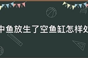 形容魚(yú)缸的四字詞語(yǔ)有哪些：魚(yú)缸養(yǎng)護(hù)的常見(jiàn)誤區(qū) 魚(yú)缸百科 第4張