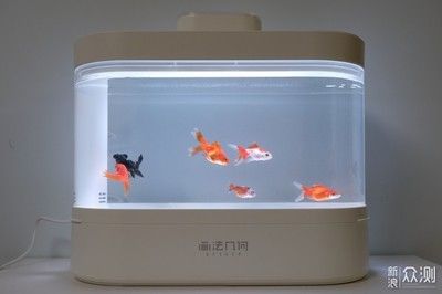 畫法幾何魚缸智能功能介紹：畫法幾何智能魚缸 魚缸百科 第1張