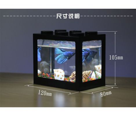 魚缸布局對魚類行為的影響：魚缸布局對魚的游泳行為有顯著影響 魚缸百科 第4張