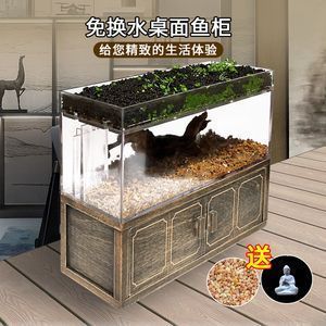 魚缸布局對魚類行為的影響：魚缸布局對魚的游泳行為有顯著影響 魚缸百科 第5張