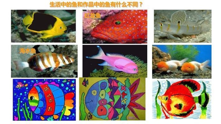 海水紅龍魚(yú)好養(yǎng)嗎 珊瑚：海水紅龍魚(yú)在珊瑚中的飼養(yǎng)條件和挑戰(zhàn) 龍魚(yú)百科 第1張