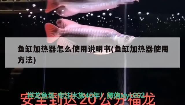 魚缸加熱治療效果評估：魚缸加熱器對水族箱水溫的控制和治療效果的評估 魚缸百科 第1張