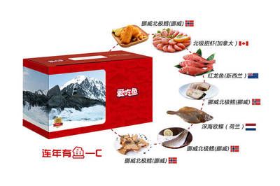 紅龍魚愛吃什么：紅龍魚喂食頻率指南，