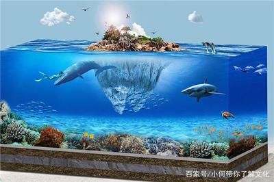 魚缸里的海豚怎么處理：如何妥善處理海豚 魚缸百科 第3張