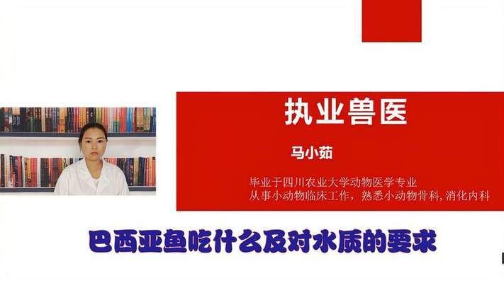 金龍魚的賣點和特點分析：市場上常見的金龍魚品種有哪些&回答 水族問答