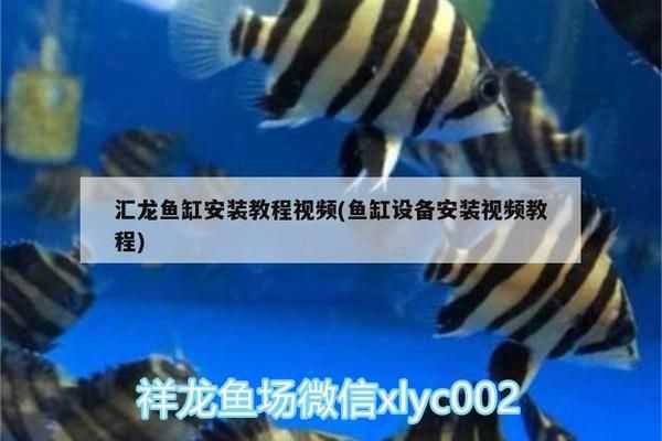 匯龍魚缸安裝教程：匯龍魚缸安裝教程詳細安裝教程，匯龍魚缸安裝教程 魚缸百科 第1張