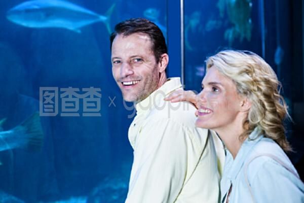 魚缸夫婦是什么意思：“魚塘夫婦”是什么意思 魚缸百科 第3張