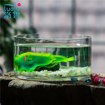 洛魯（LUOLU）魚缸：洛魯魚缸用戶評價如何 魚缸百科 第3張