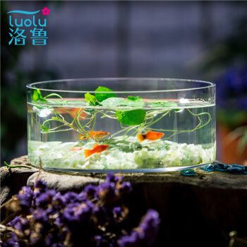 洛魯（LUOLU）魚缸：洛魯魚缸用戶評價如何 魚缸百科 第5張