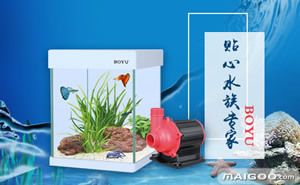 瑞鑫水族魚(yú)缸：瑞鑫水族實(shí)木魚(yú)缸特點(diǎn) 魚(yú)缸百科 第5張