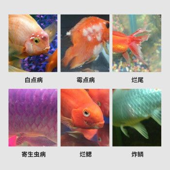 寵翰魚缸凈水劑：寵翰魚缸凈水劑使用方法 魚缸百科 第1張