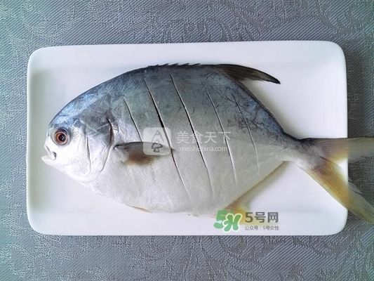 金龍魚的商標(biāo)是屬于誰的產(chǎn)品：金龍魚的商標(biāo)屬于哪個國家注冊，金龍魚的商標(biāo)屬于誰 水族問答 第2張