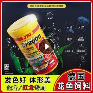 龍魚浮頭治療方法