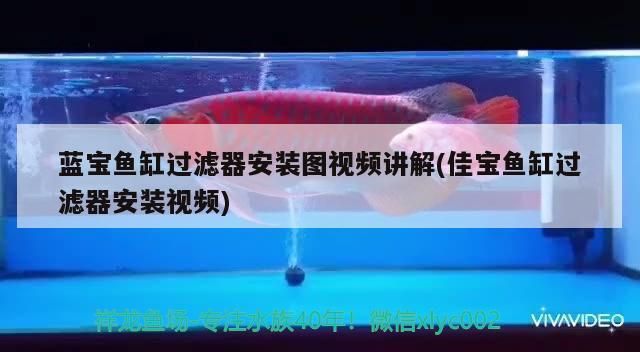 佳寶魚缸安裝視頻教程：佳寶魚缸安裝視頻教程詳情 魚缸百科 第2張