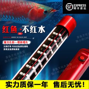 紅龍魚比賽用的神燈是什么燈：紅龍魚比賽用的神燈是什么 紅龍魚百科 第4張