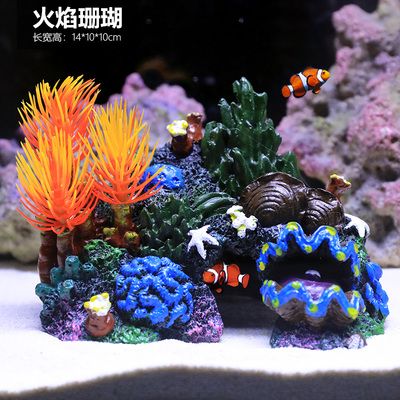 魚缸珊瑚造景圖片欣賞：精美的魚缸珊瑚造景圖片欣賞