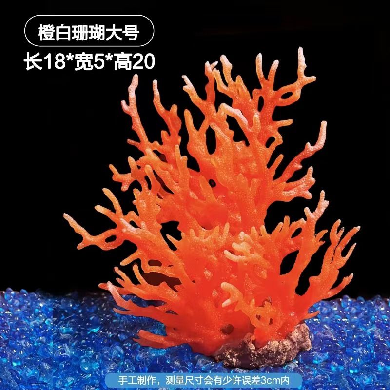 魚缸珊瑚造景圖片欣賞：精美的魚缸珊瑚造景圖片欣賞 魚缸百科 第2張