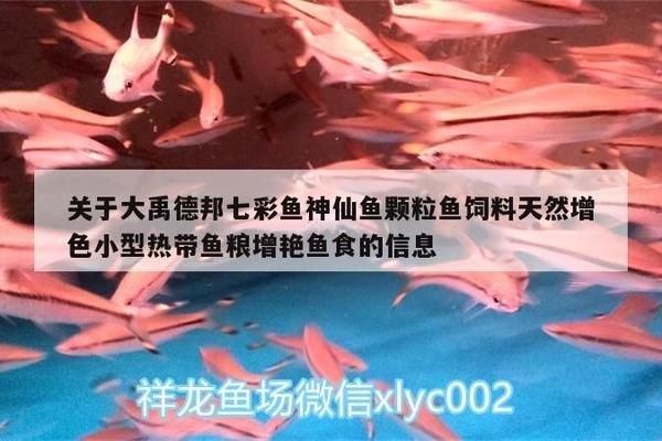 大禹水族魚缸怎么樣好用嗎：大禹水族魚缸好用嗎