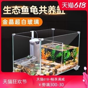 金晶至純超白玻璃魚缸：金晶至純超白玻璃魚缸品牌推薦 魚缸百科 第5張