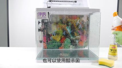 魚缸殺菌消毒劑：魚缸殺菌消毒劑使用方法和注意事項