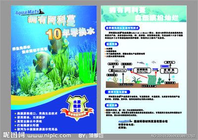 龍魚蒙眼爛眼怎么辦：龍魚蒙眼爛眼治療方法 龍魚百科 第2張