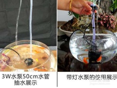 魚缸換水最佳時(shí)機(jī)選擇：魚缸換水的最佳時(shí)機(jī)應(yīng)綜合考慮魚的活躍時(shí)段、季節(jié)變化、水質(zhì)狀況