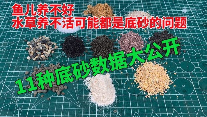 魚缸底砂維護(hù)的常見問題：魚缸底砂清潔工具