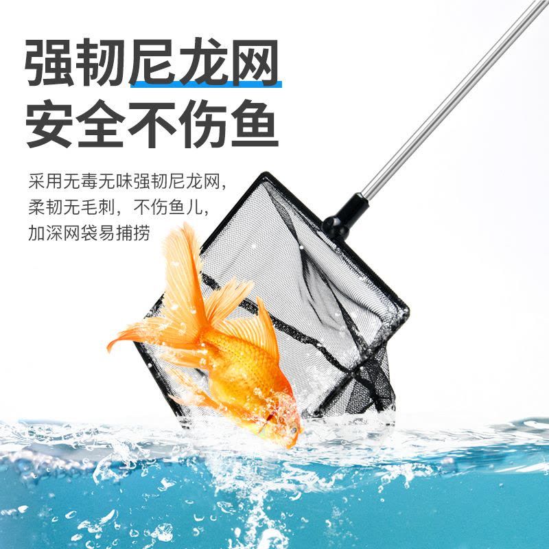 小魚牌魚缸：小魚牌魚缸品牌排行榜 魚缸百科 第5張