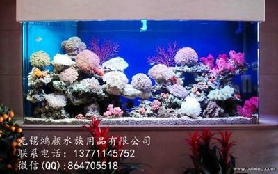 魚缸 修理：如何診斷和修復常見魚缸損壞 魚缸百科 第4張