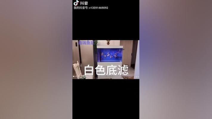 索一魚缸安裝視頻：b站魚缸diy視頻教程：掌握索一魚缸安裝教程 魚缸百科 第3張