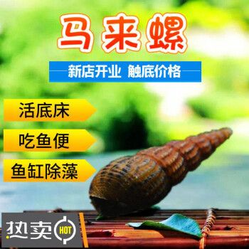 榮郁魚缸：榮郁魚缸怎么樣？