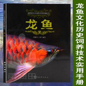 龍魚入門知識：關(guān)于龍魚的飼養(yǎng)和養(yǎng)護的全面指南