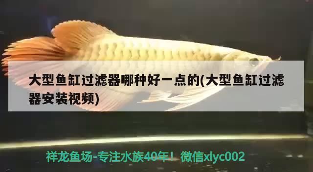 魚缸濾器比較好：魚缸過濾器品牌推薦 魚缸百科 第5張