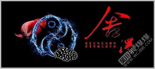 龍魚可以吃死魚嗎：如何自制龍魚飼料，龍魚活餌與死餌選擇，龍魚日常飲食結(jié)構(gòu) 龍魚百科 第5張