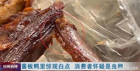 龍魚身上有小白點是什么蟲卵：龍魚白點病治療期間的注意事項龍魚白點病治療期間的注意事項 龍魚百科 第3張