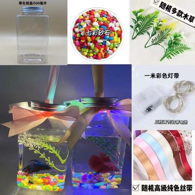 魚缸里面的彩燈：魚缸中的彩燈的主要作用和用途 魚缸百科 第4張