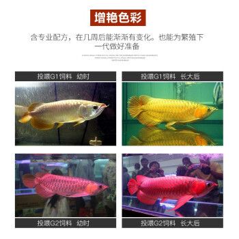 紅龍魚飼料網(wǎng)購優(yōu)惠活動：紅龍魚飼料的網(wǎng)購優(yōu)惠活動 龍魚百科 第5張