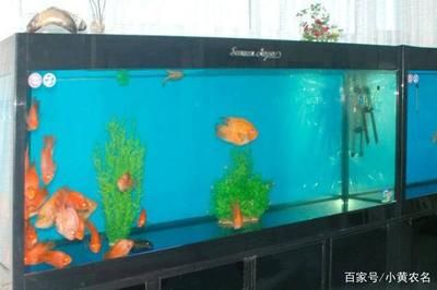 樹(shù)脂魚(yú)缸怎么清洗：樹(shù)脂魚(yú)缸清洗方法