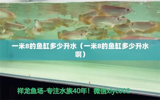 一米陽(yáng)光魚缸多少升水?。阂幻钻?yáng)光魚缸多少升水 魚缸百科 第3張