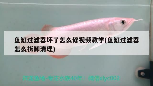 合思美魚缸過濾盒怎么拆：如何拆卸魚缸過濾盒