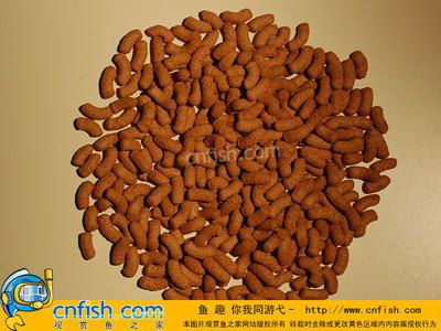 紅龍魚飼料品質(zhì)排名榜：紅龍魚飼料品牌品牌排行榜